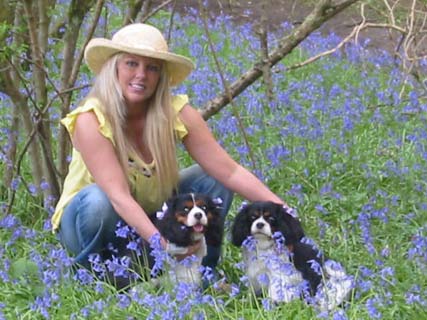 Allisons Dog Grooming - Thatcham, Newbury Dog Groomer
