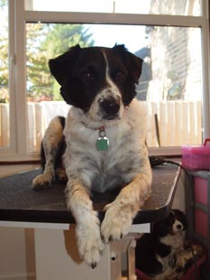 Buster-2.jpg